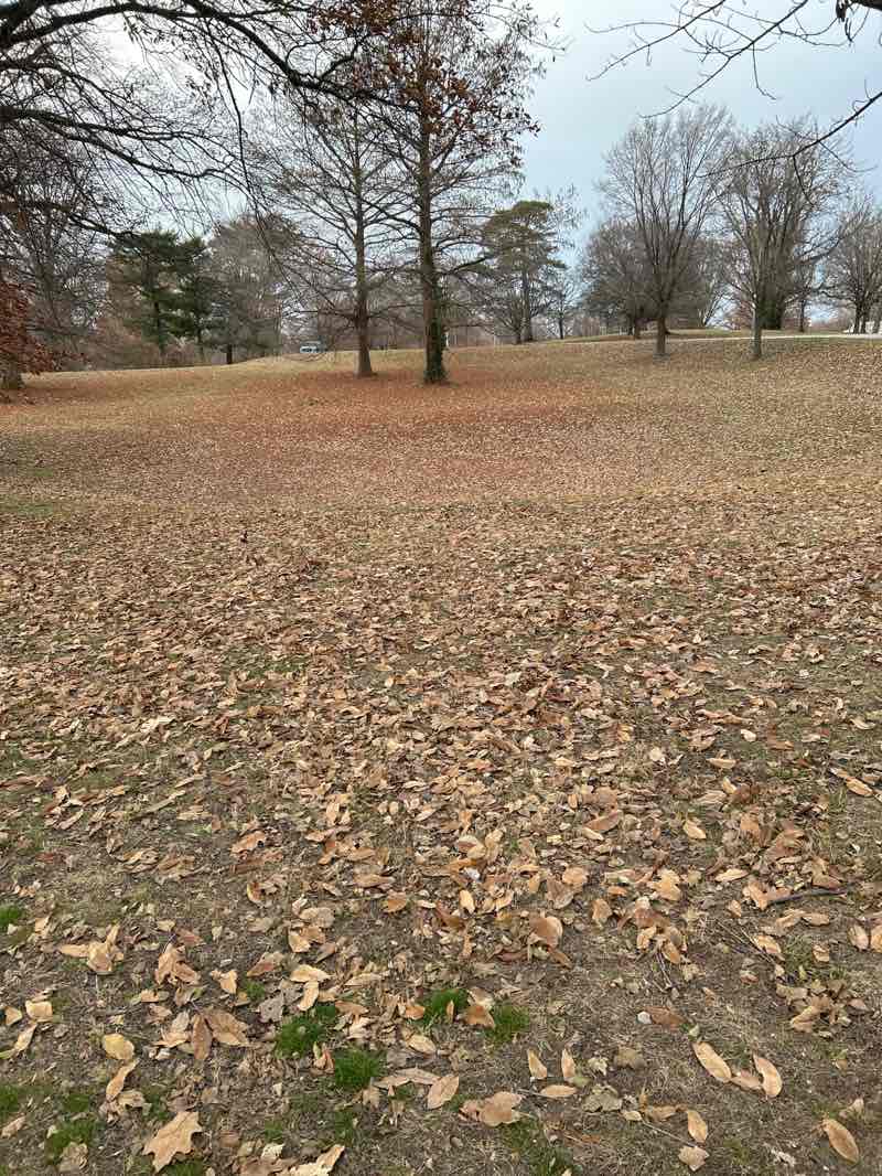 walking near me in Carondelet Park in winter