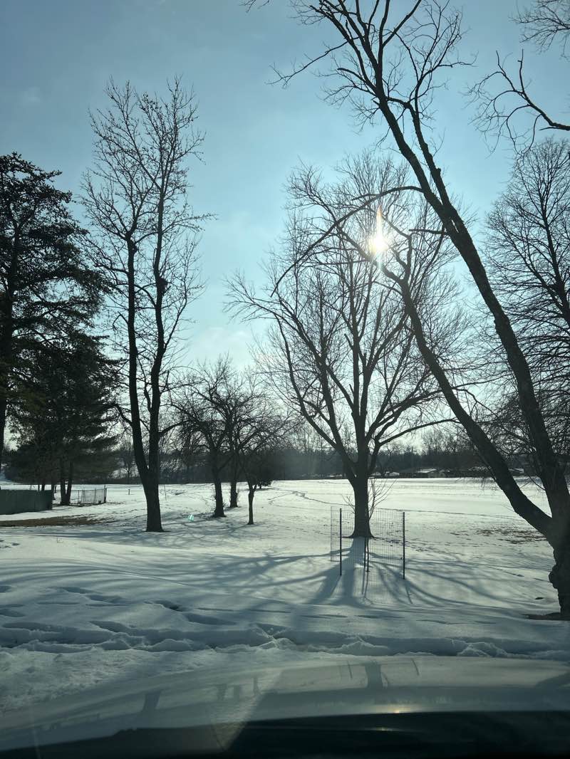 walking near me in Ohlendorf County Park in winter