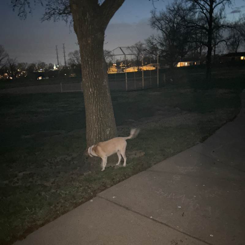 Steve  👋🏼 post 2