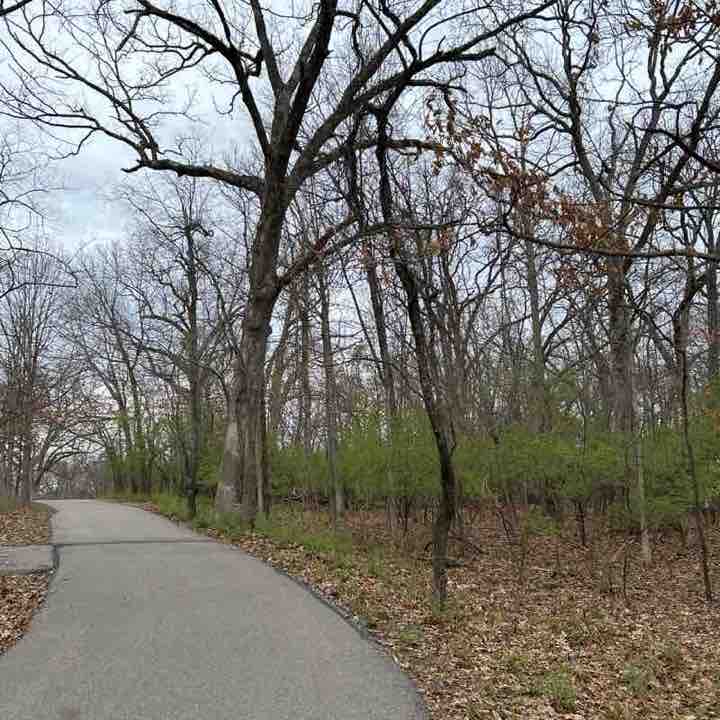 Steve  👋🏼 post 1