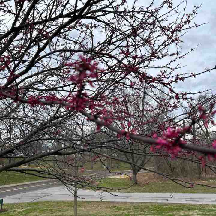 Steve  👋🏼 post 2