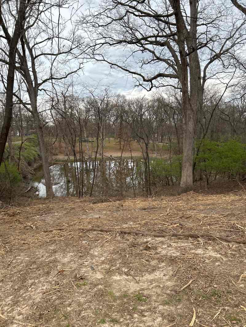 walking near me in Jefferson Barracks County Park in spring