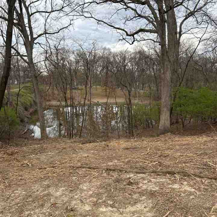 Steve  👋🏼 post 3