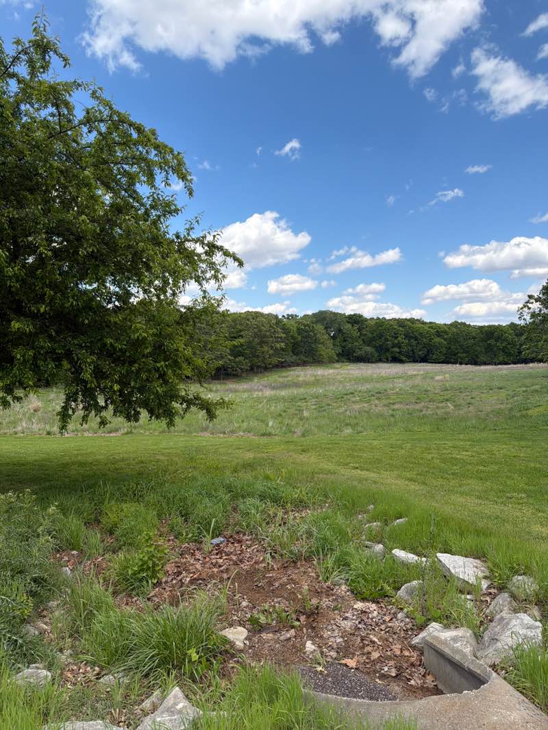 walking near me in Jefferson Barracks County Park in spring