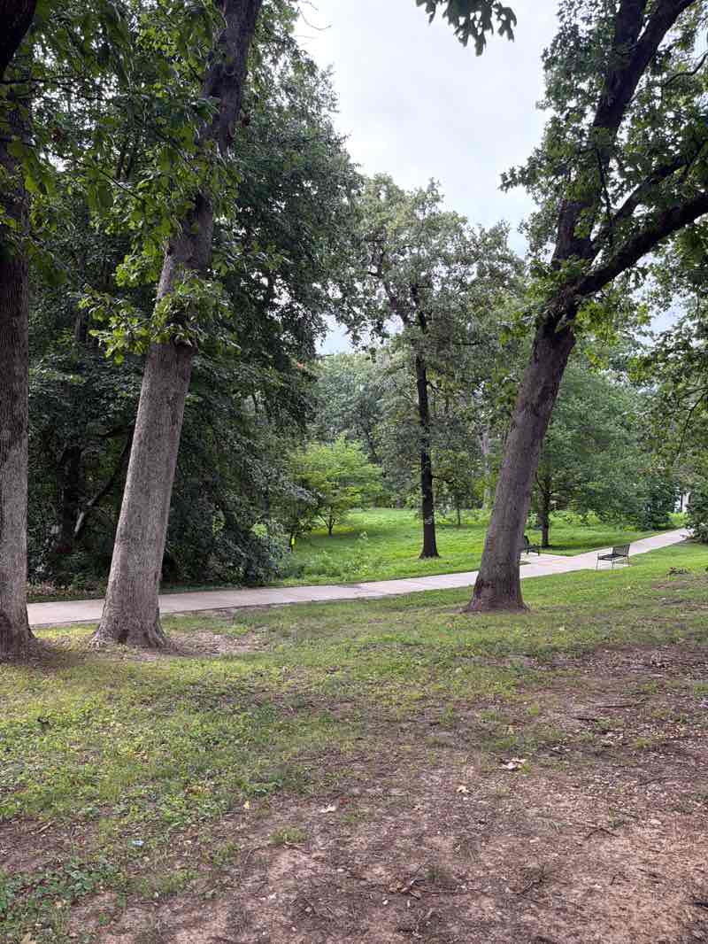 walking near me in Blackburn Park in summer