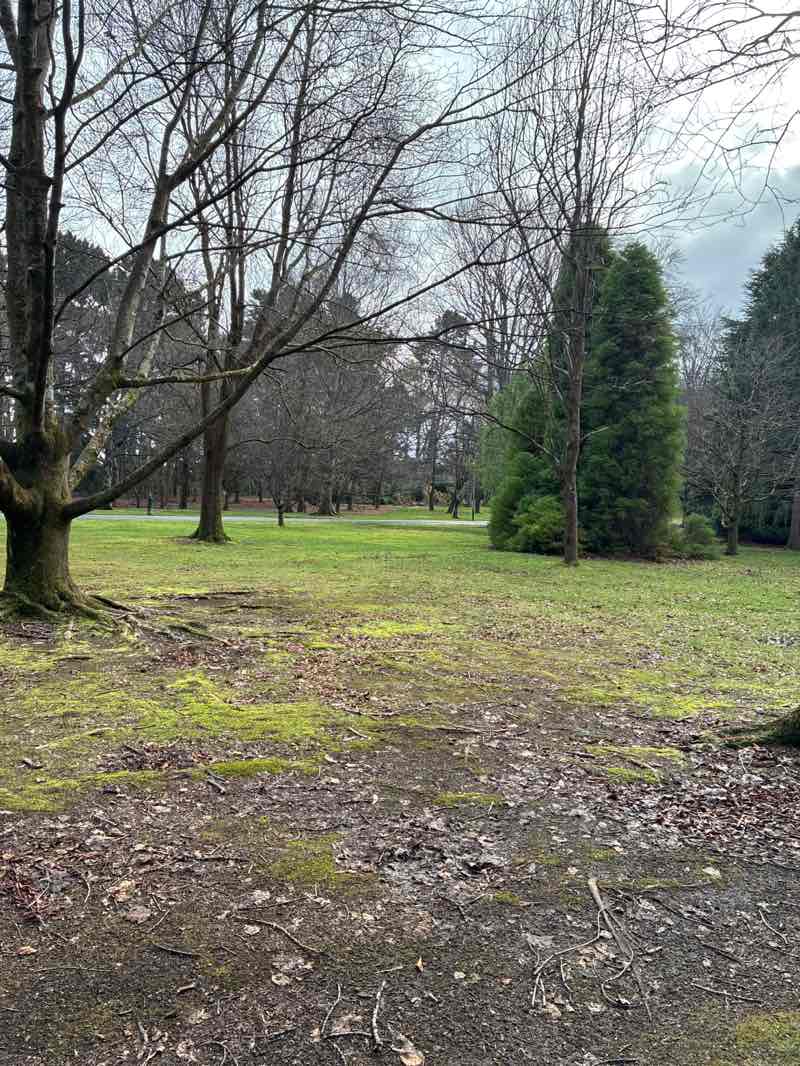 walking near me in Queenspark in winter