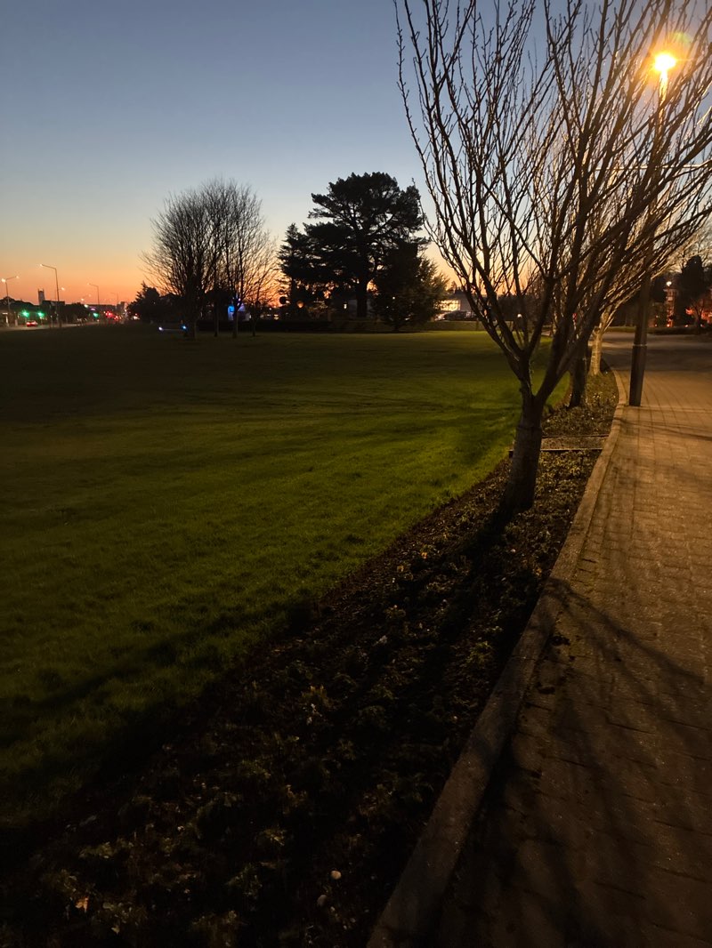 walking near me in Gala Street Reserve in winter