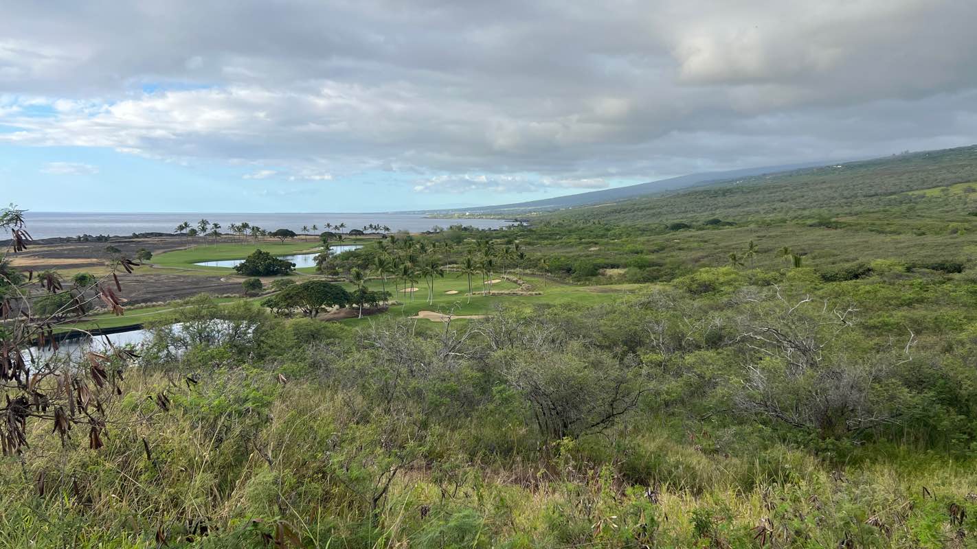 walking near me in Shoreline Park in winter
