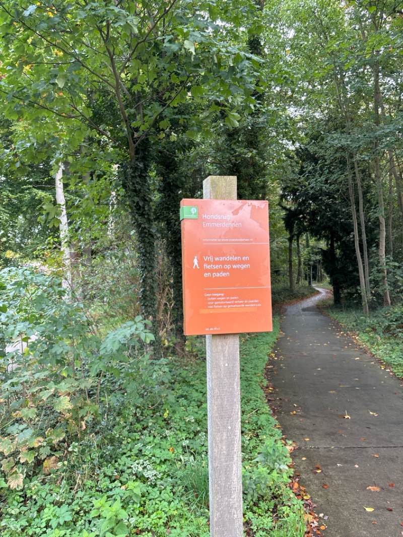 walking near me in Rensenpark in autumn