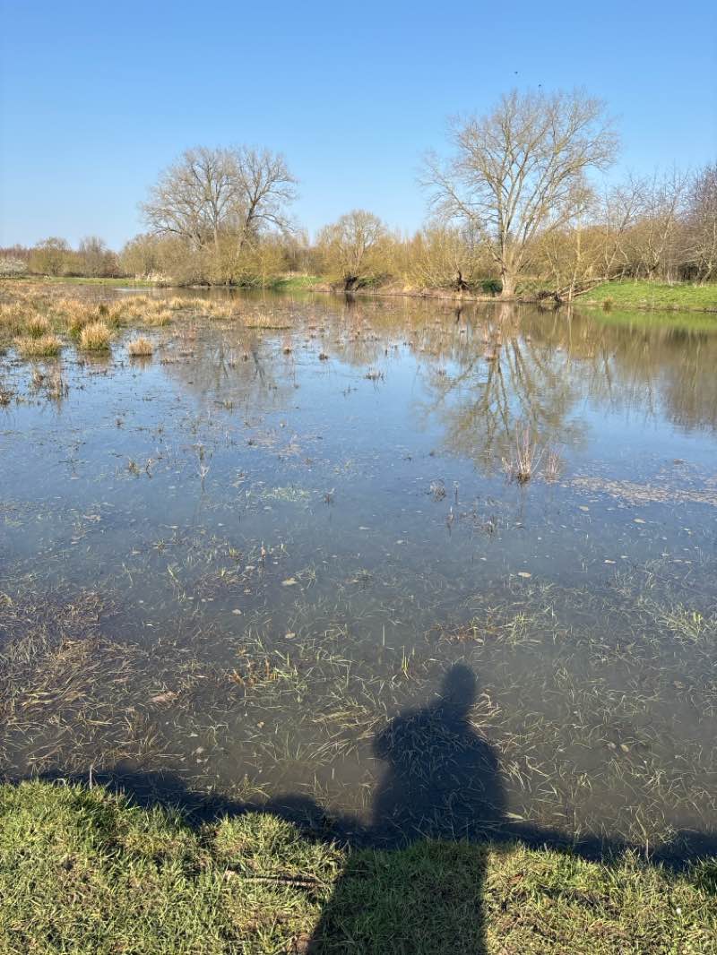 walking near me in Frans Tochpark in spring