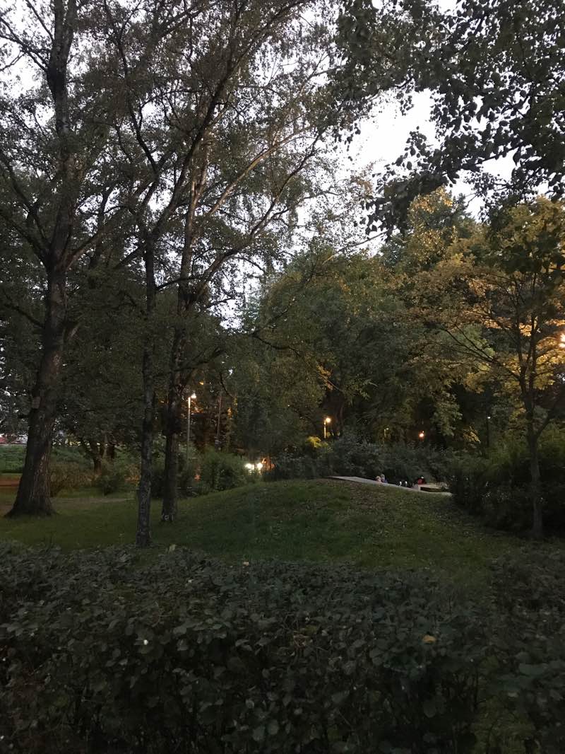 walking near me in Koidu park in autumn