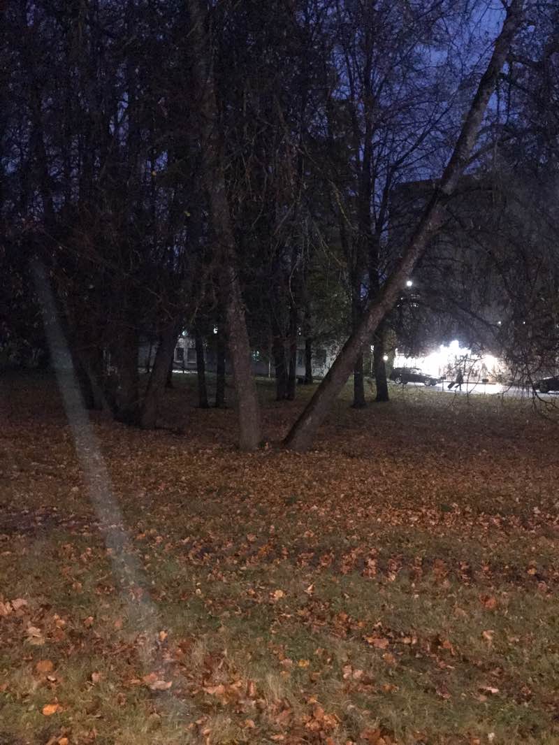 walking near me in Charlottentali park in autumn