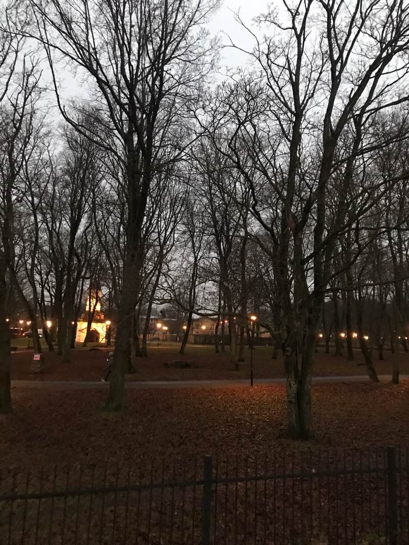 walking near me in Kalamaja kalmistupark in autumn