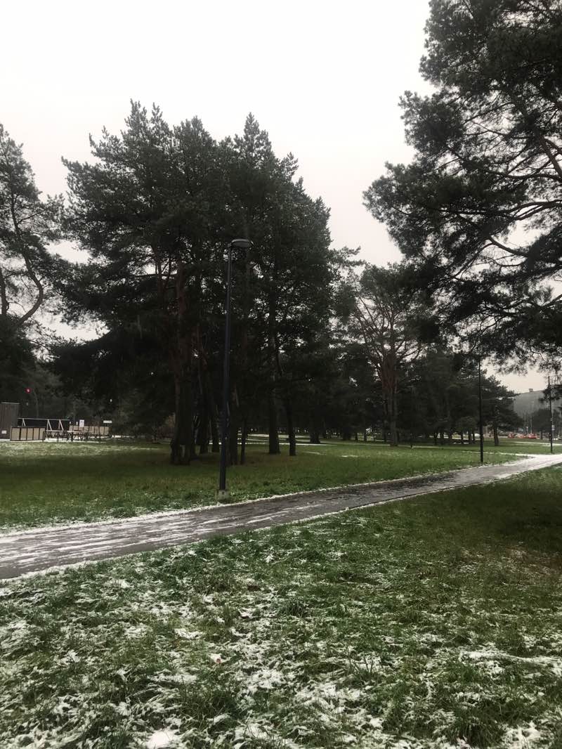 walking near me in Männi park in autumn