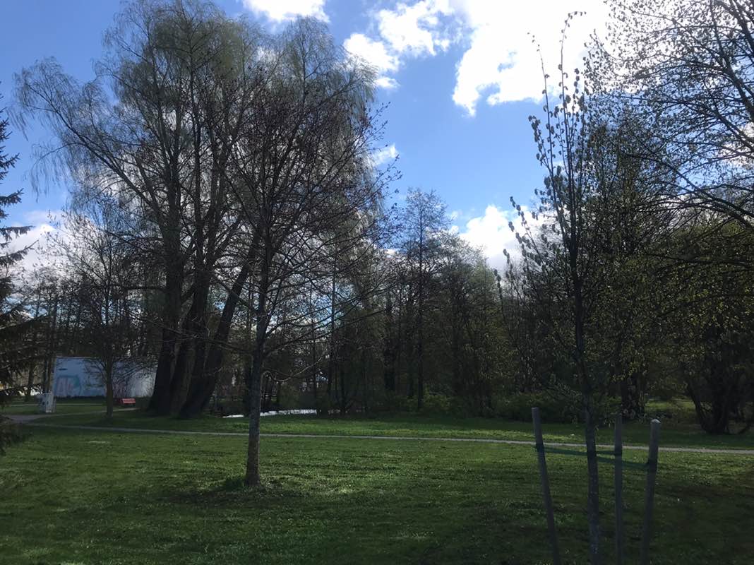 walking near me in Löwenruh' park in spring