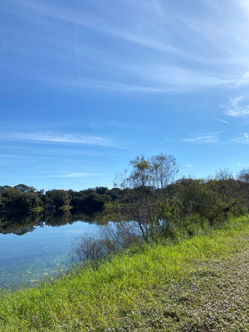 walking near me in Rothenbach Park in winter