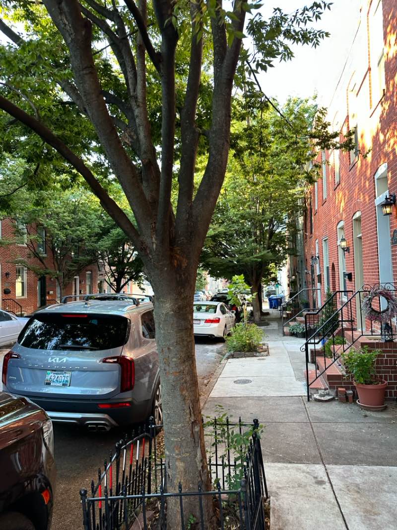 walking near me in City Springs Park in autumn