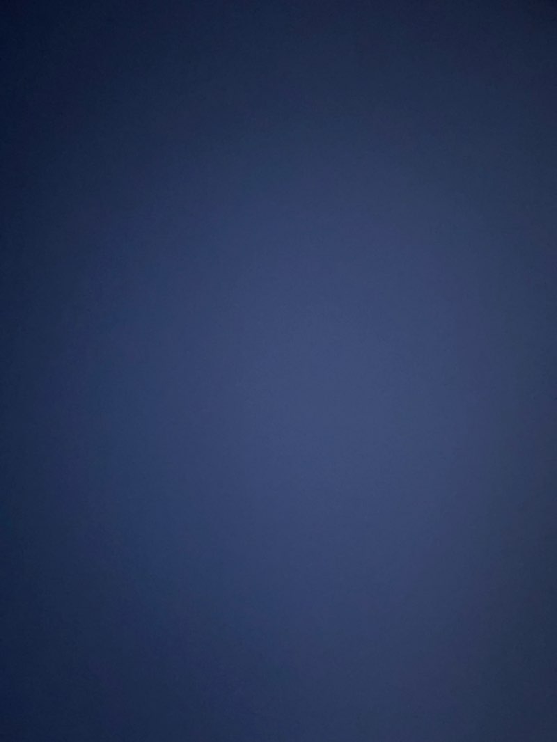 walking near me in Kamahi Park in spring