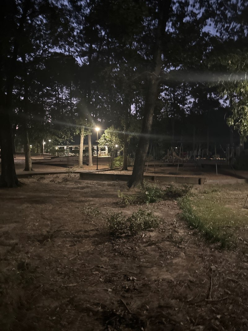 walking near me in Friendship park in autumn