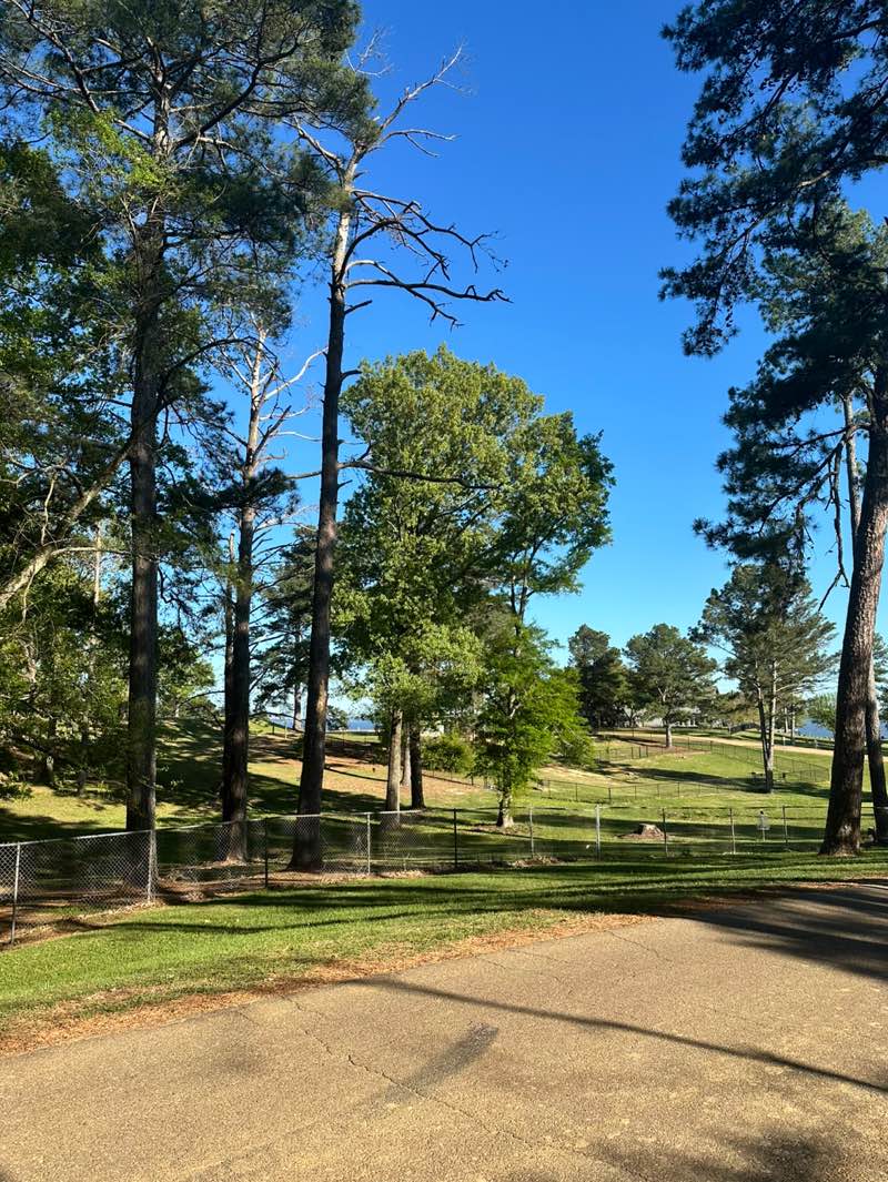 walking near me in Old Trace Park in spring