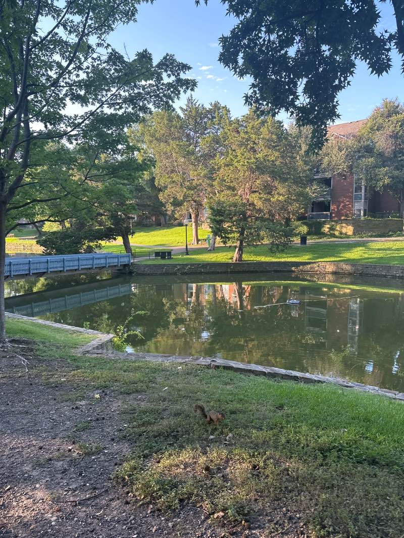 walking near me in Village Apartments Park in summer