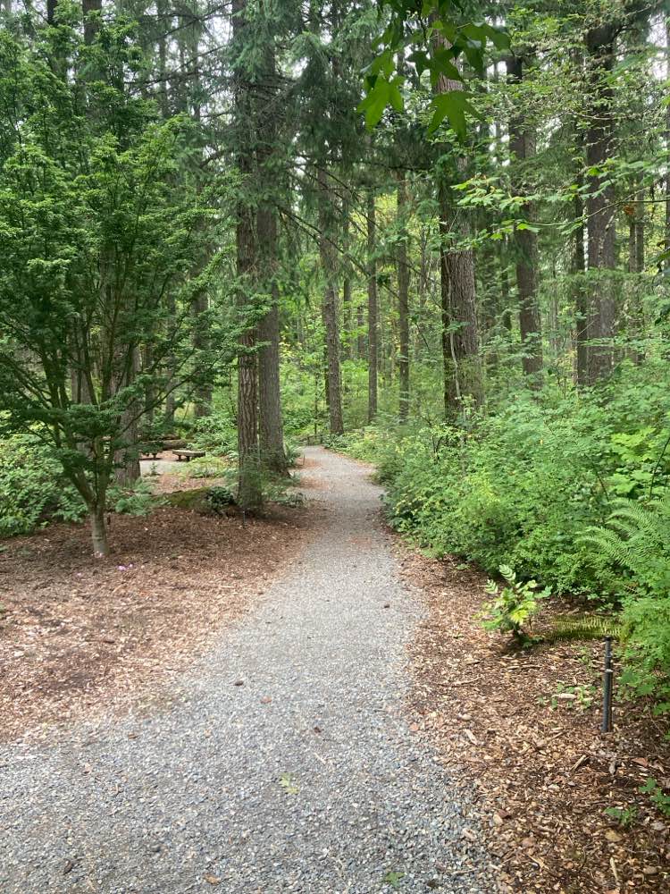 walking near me in Lake Wilderness Park in autumn