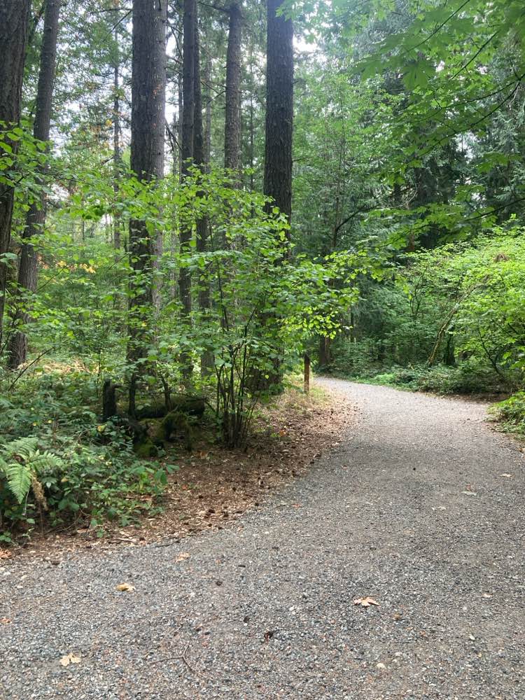 walking near me in Green To Cedar Rivers Trail Site in autumn