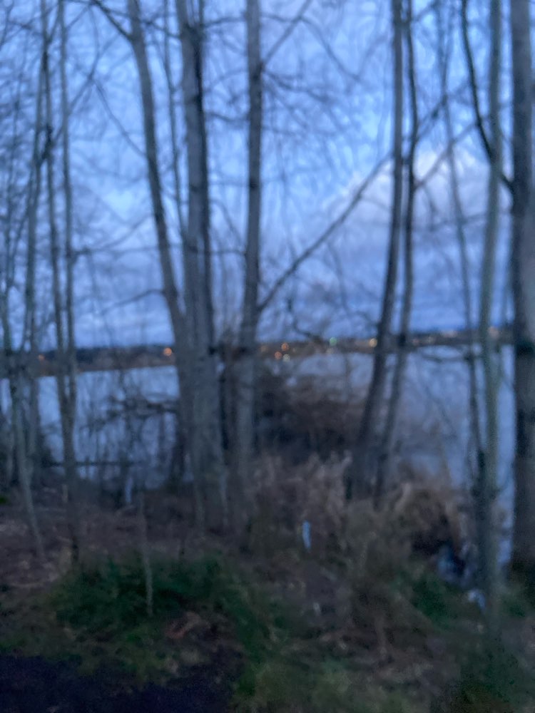 walking near me in Green Lake Park in spring