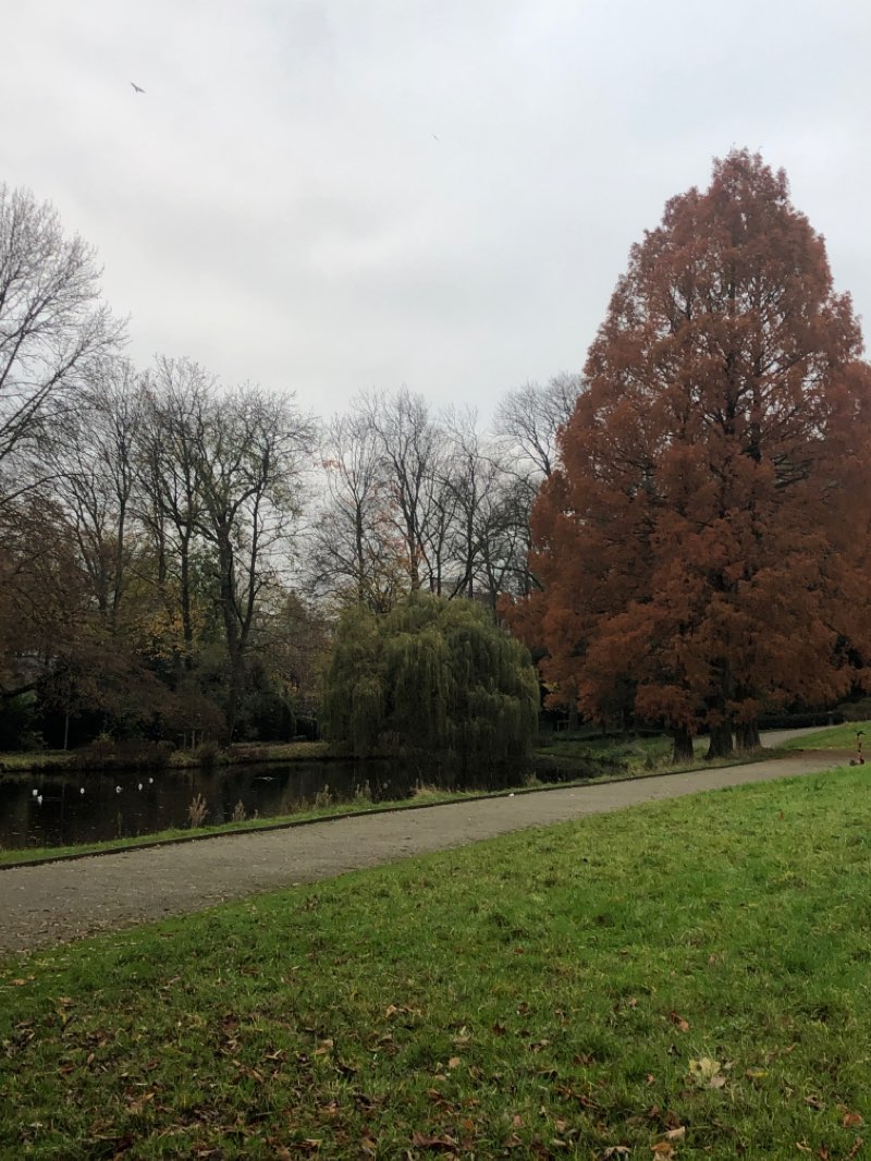 walking near me in Parc Jean Sobieski - Jan Sobieskipark in winter