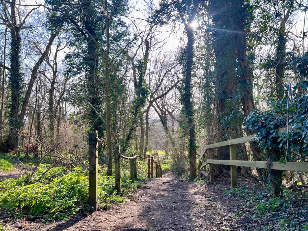 walking near me in Hadleigh Castle Country Park in spring