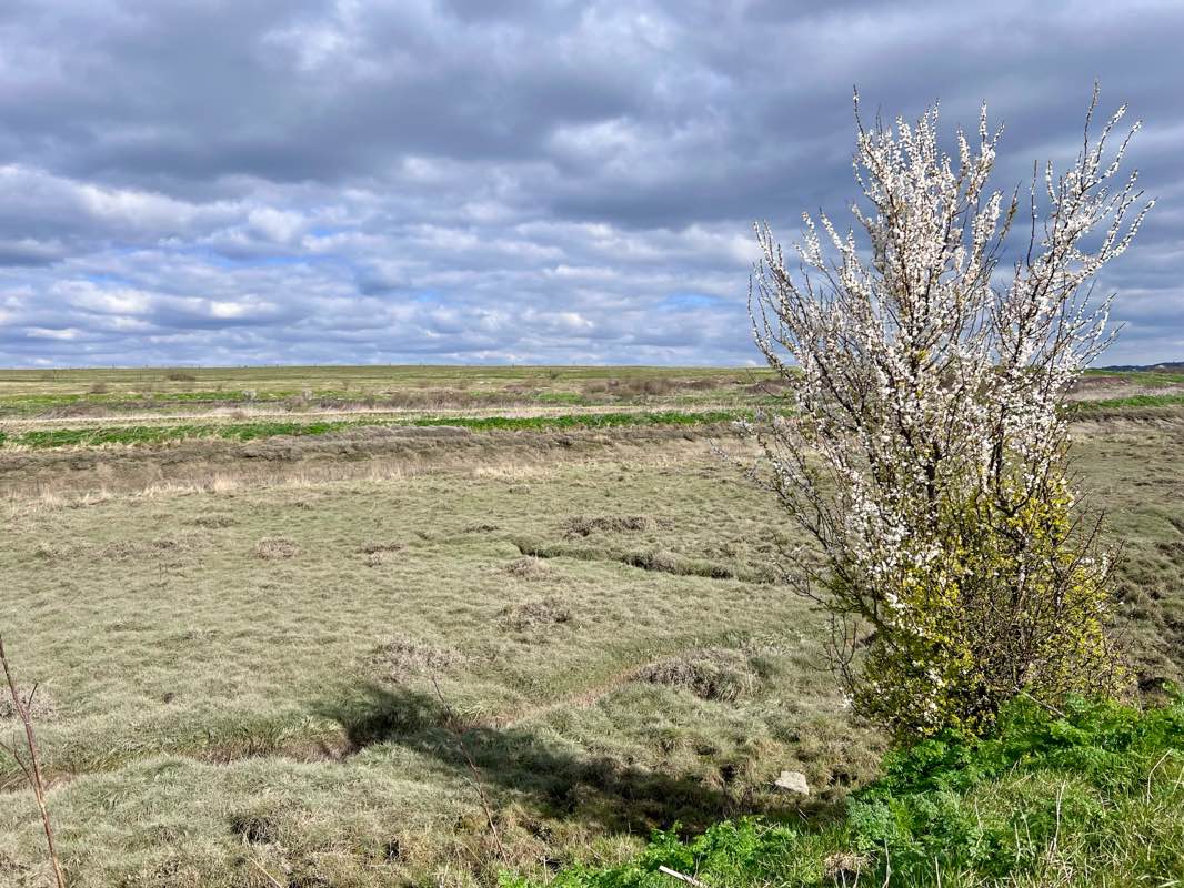 walking near me in Kismet Park in spring