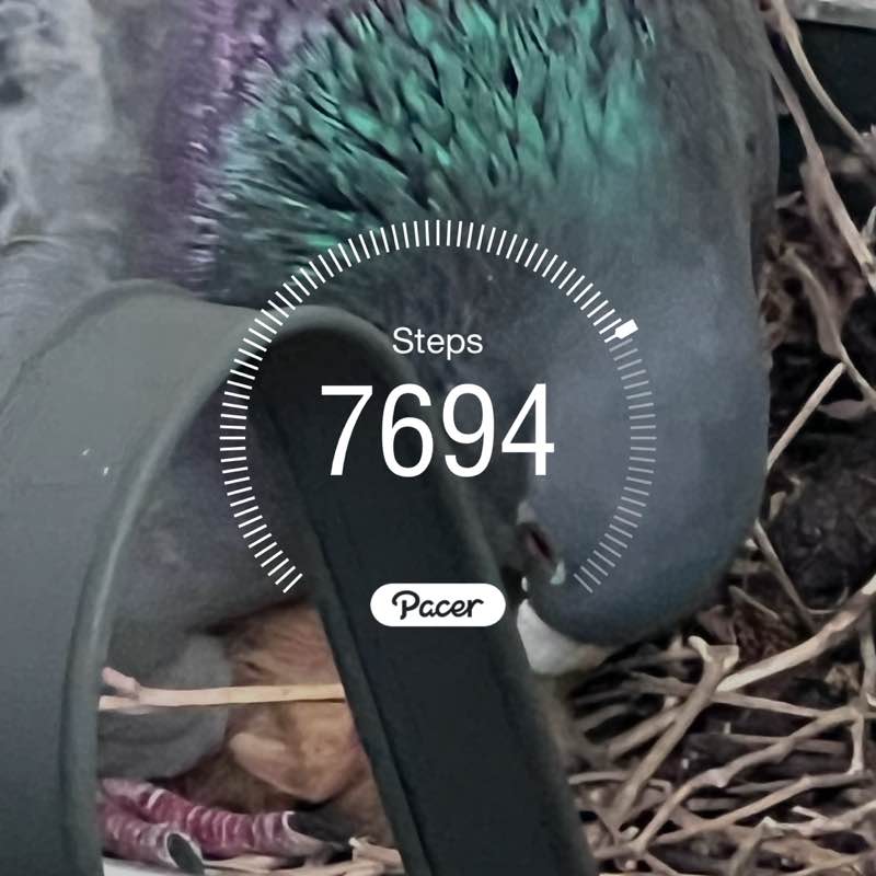 Phil 🏴󠁧󠁢󠁥󠁮󠁧󠁿🇬🇧 post 1