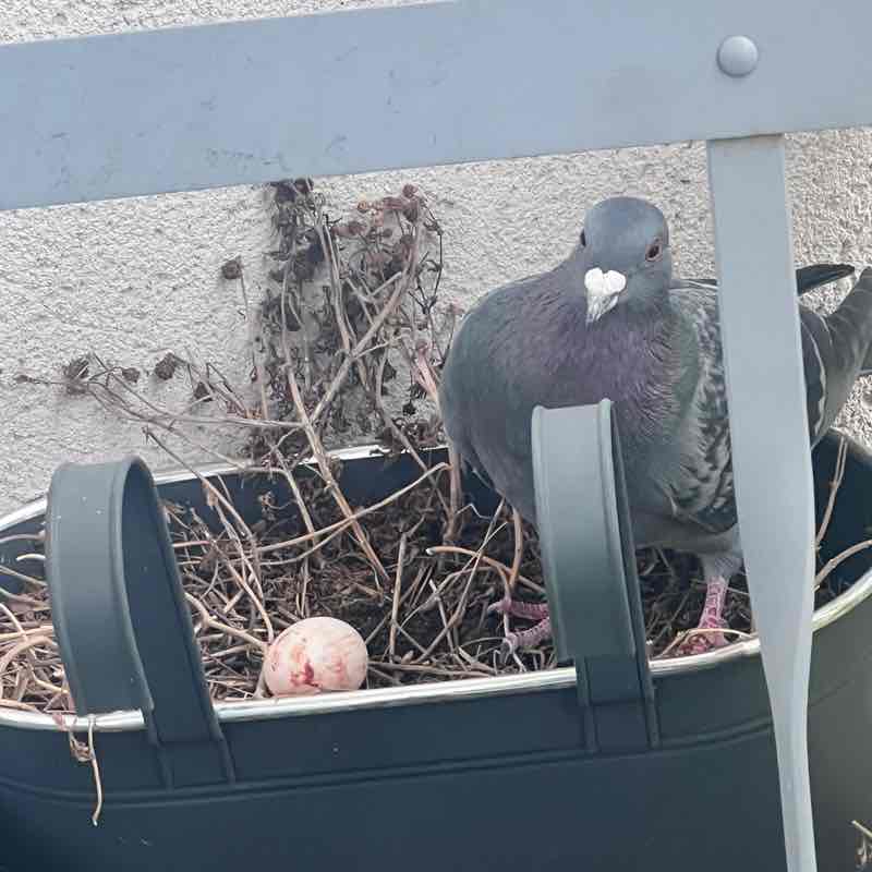 Phil 🏴󠁧󠁢󠁥󠁮󠁧󠁿🇬🇧 post 1