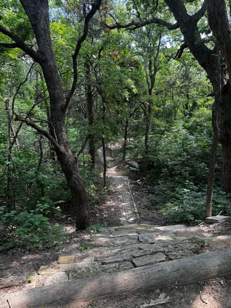 walking near me in Erwin Park in spring