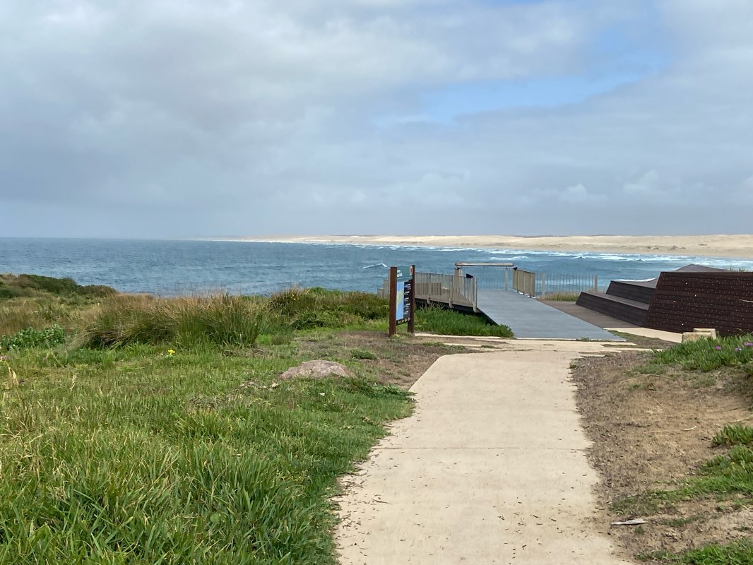 walking near me in Robinson Reserve in summer