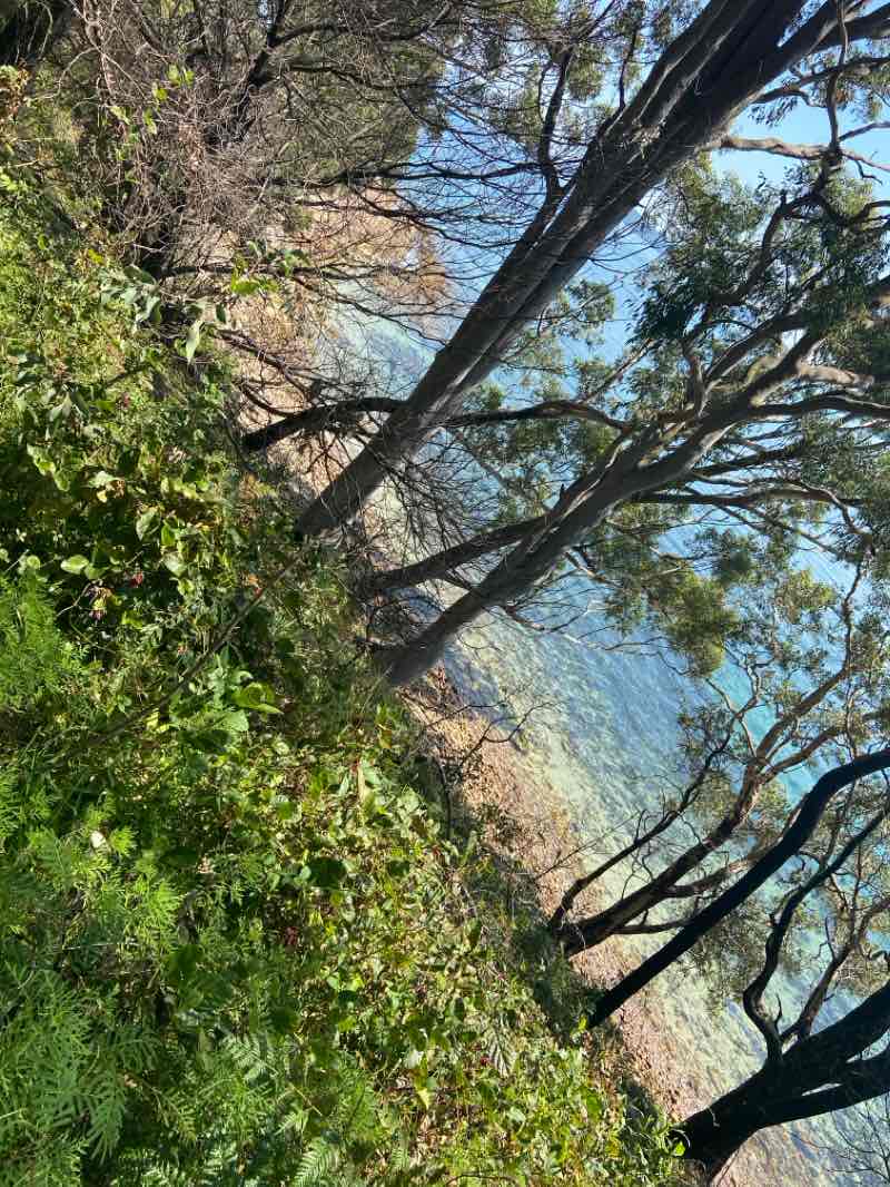 walking near me in Anzac Park in summer