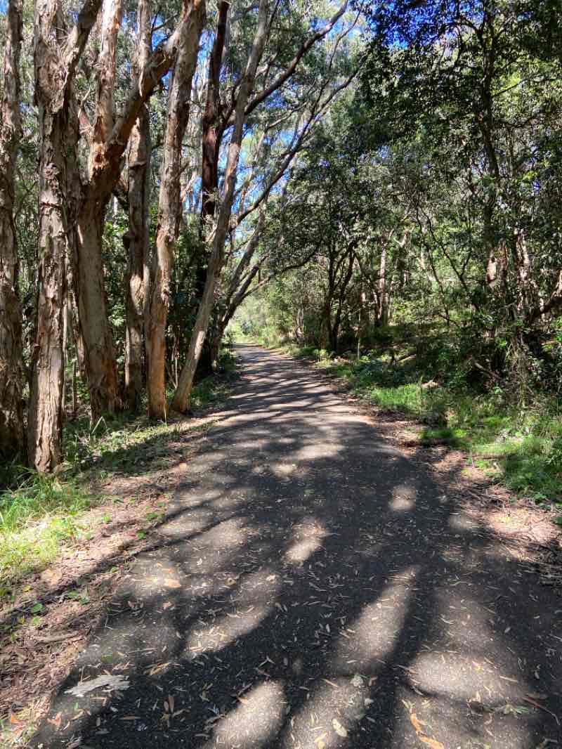 walking near me in Passchendaele Park in summer
