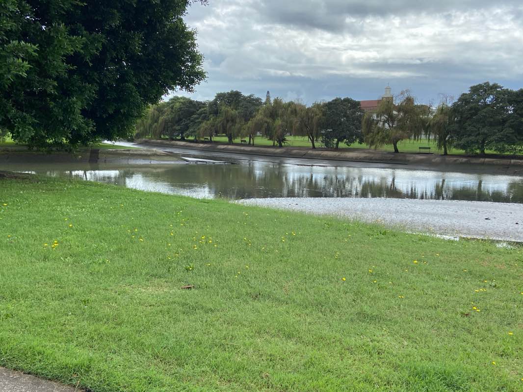 walking near me in Islington Park in autumn