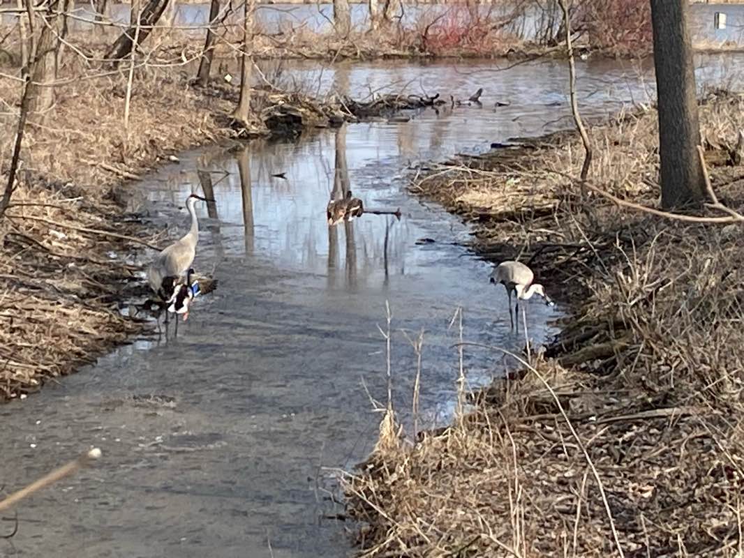 walking near me in Lake Edge Park in winter