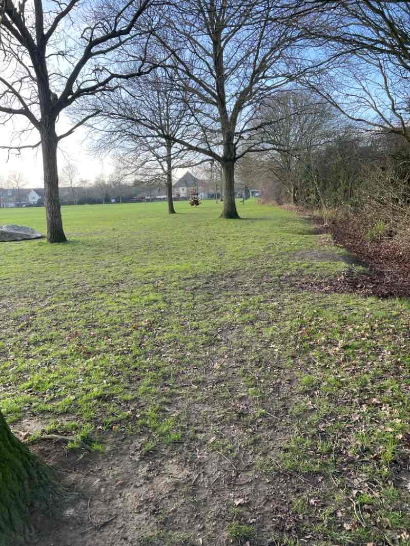 walking near me in Notley Green in winter