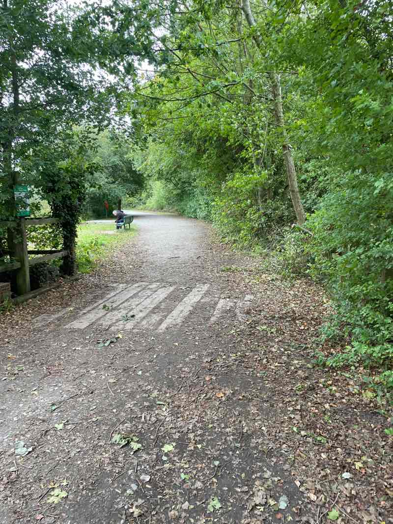 walking near me in Great Notley Country Park in autumn