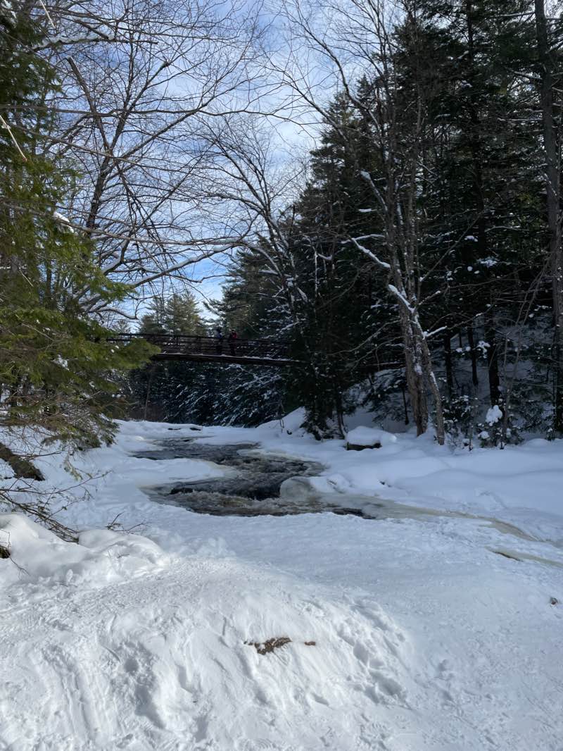 walking near me in Arrowhead Provincial Park in winter