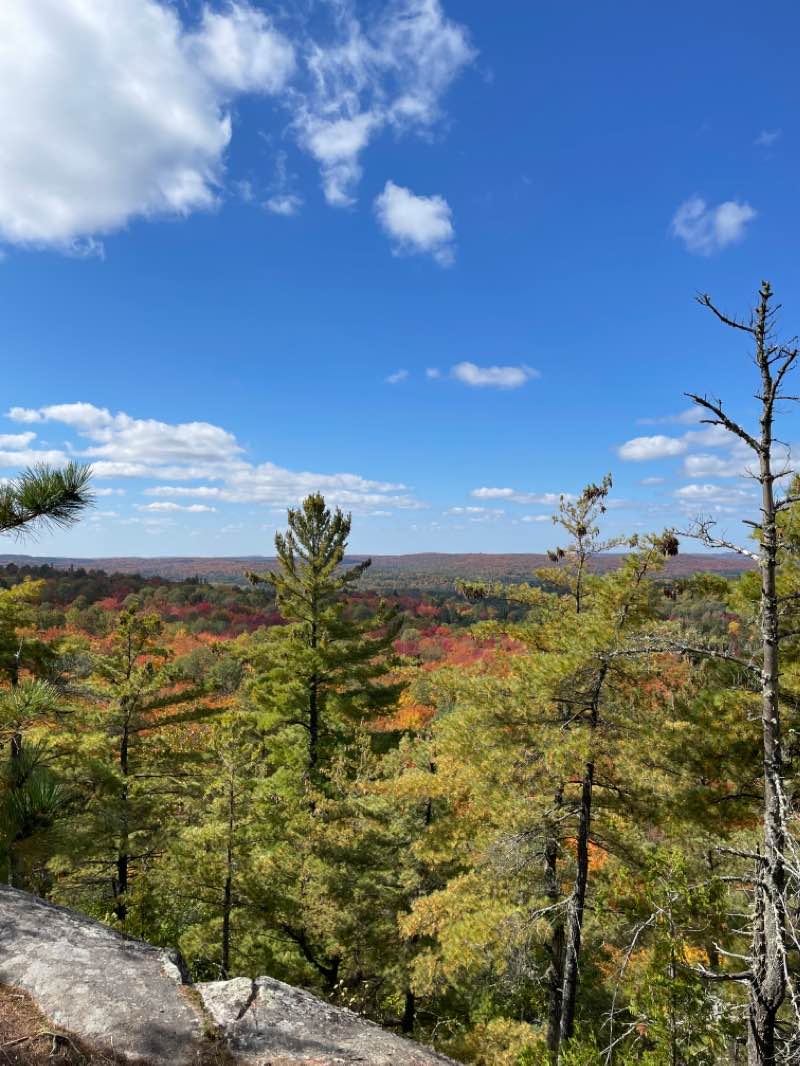 walking near me in Algonquin Provincial Park in winter