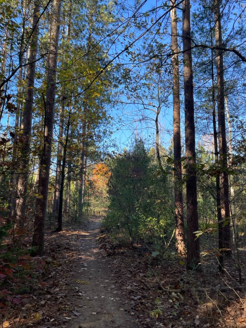 walking near me in Turkey Point Provincial Park in autumn