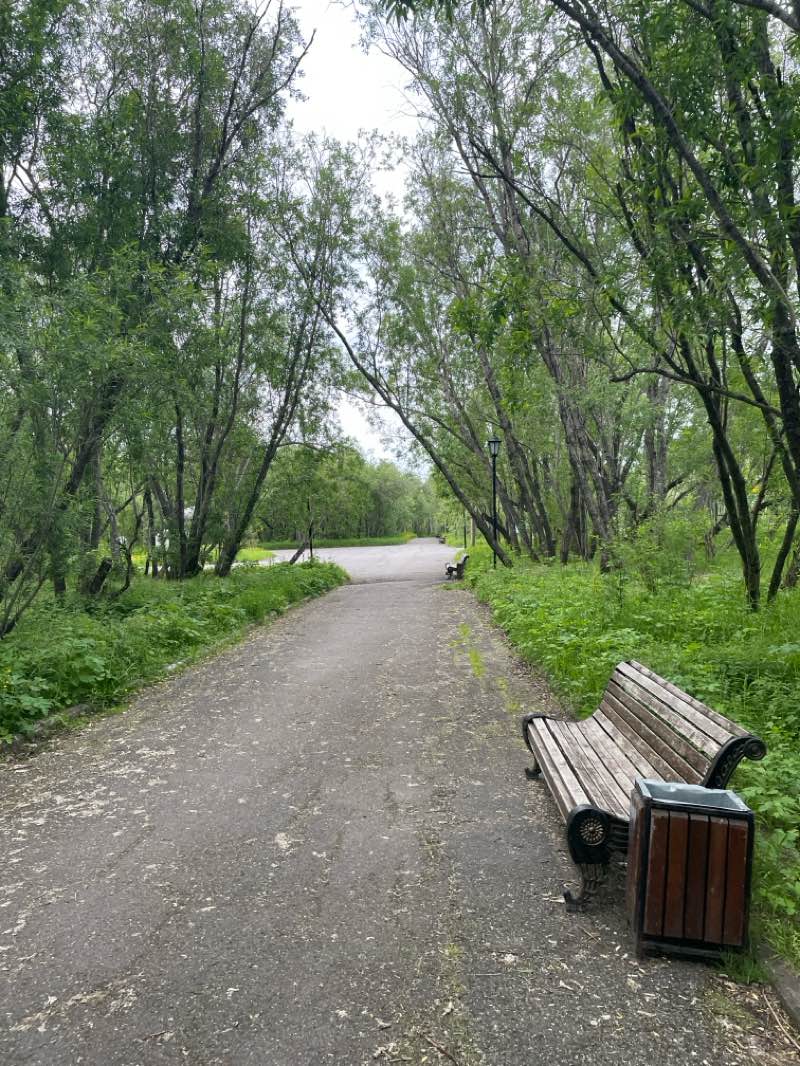 walking near me in Городской парк in autumn