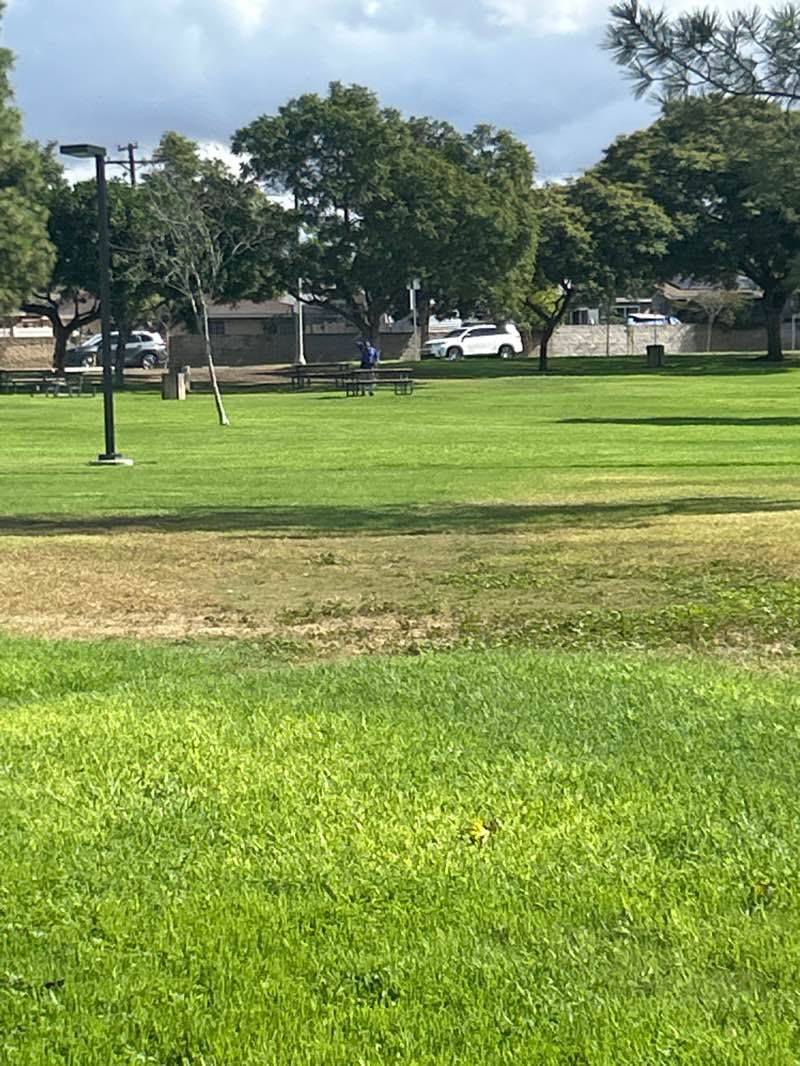 walking near me in El Toyon Park in autumn