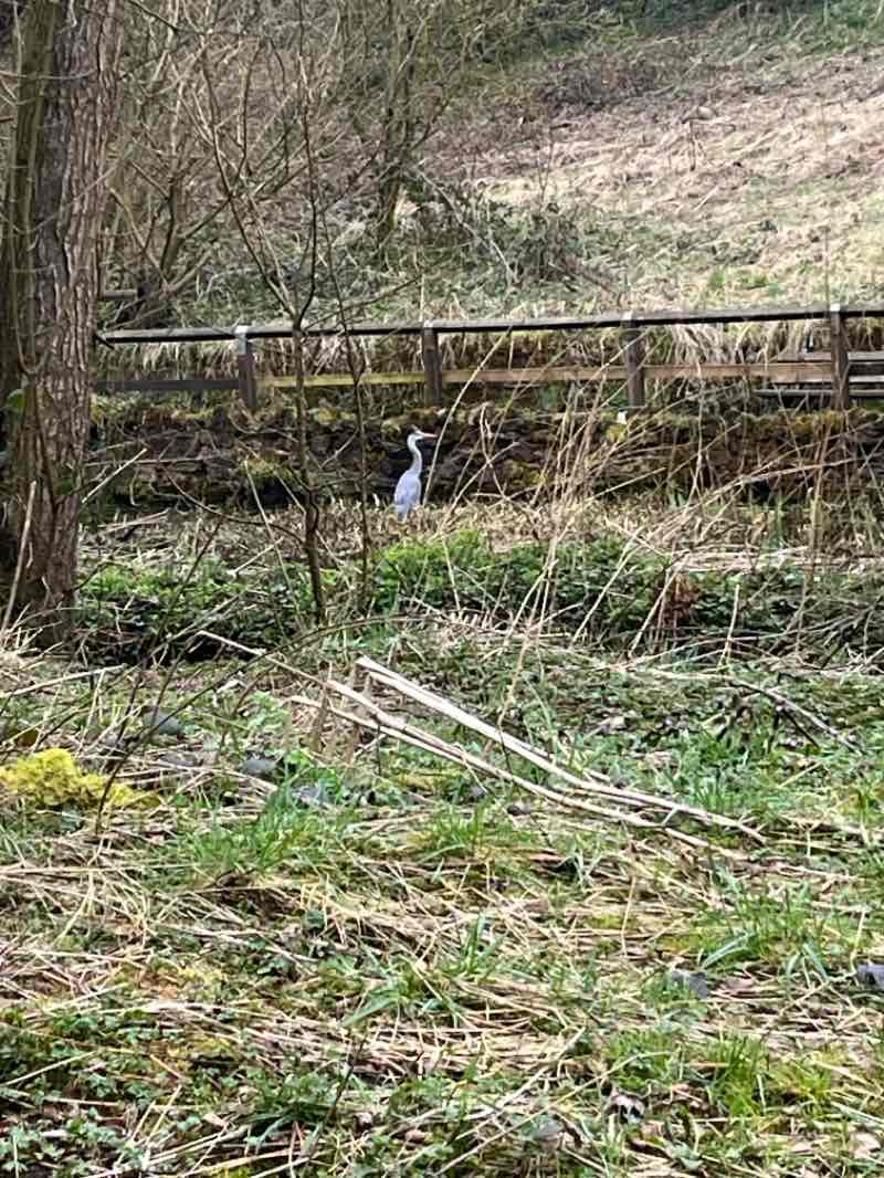 walking near me in Kingsway Park in spring