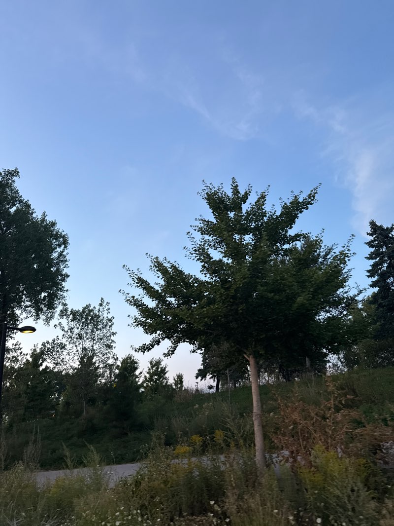 walking near me in Parc Frédéric-Back - Complexe environnemental de Saint-Michel in autumn