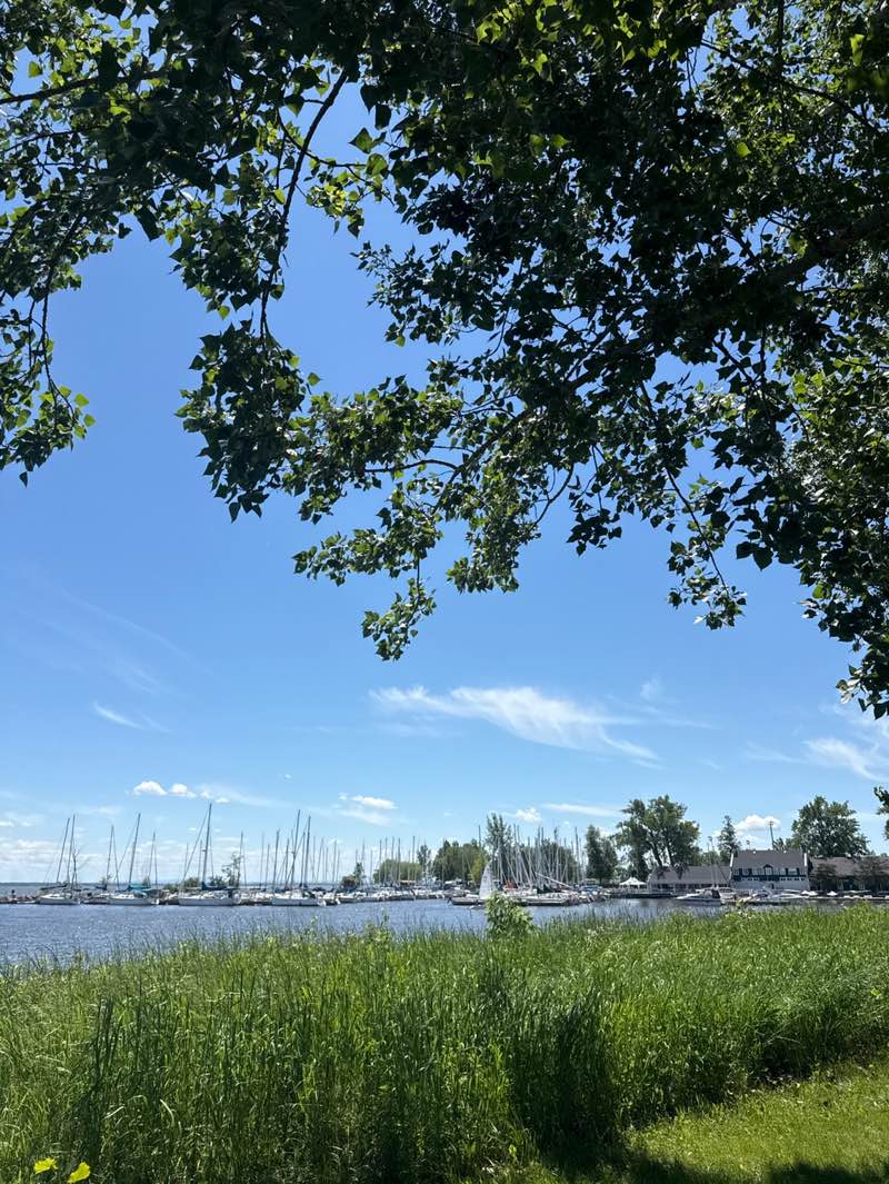 walking near me in Parc Edgewater in summer