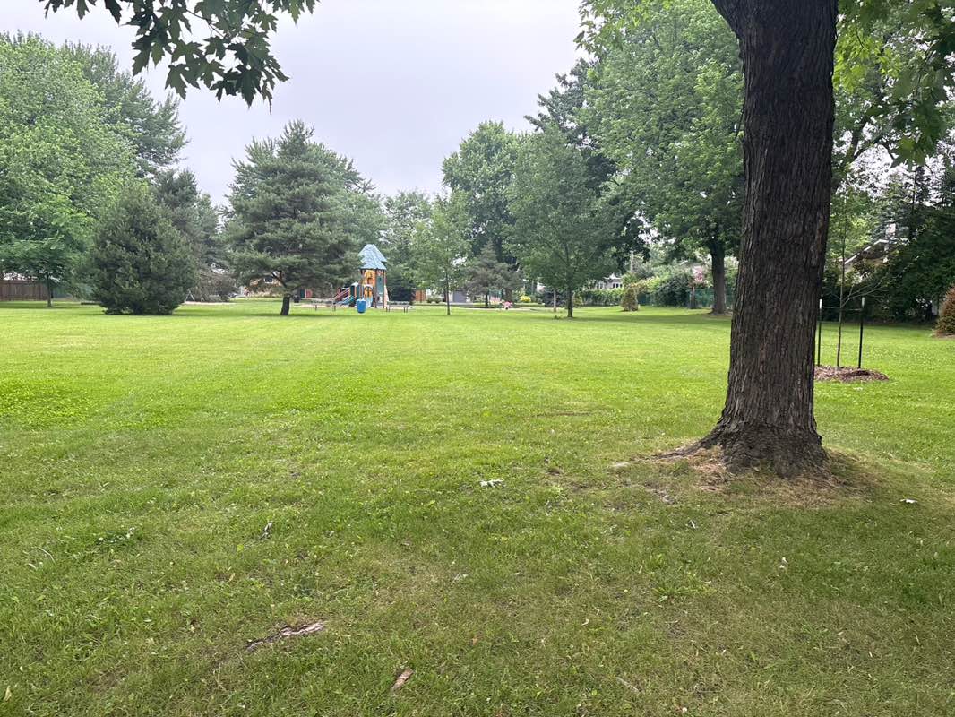 walking near me in Parc Verdure in summer